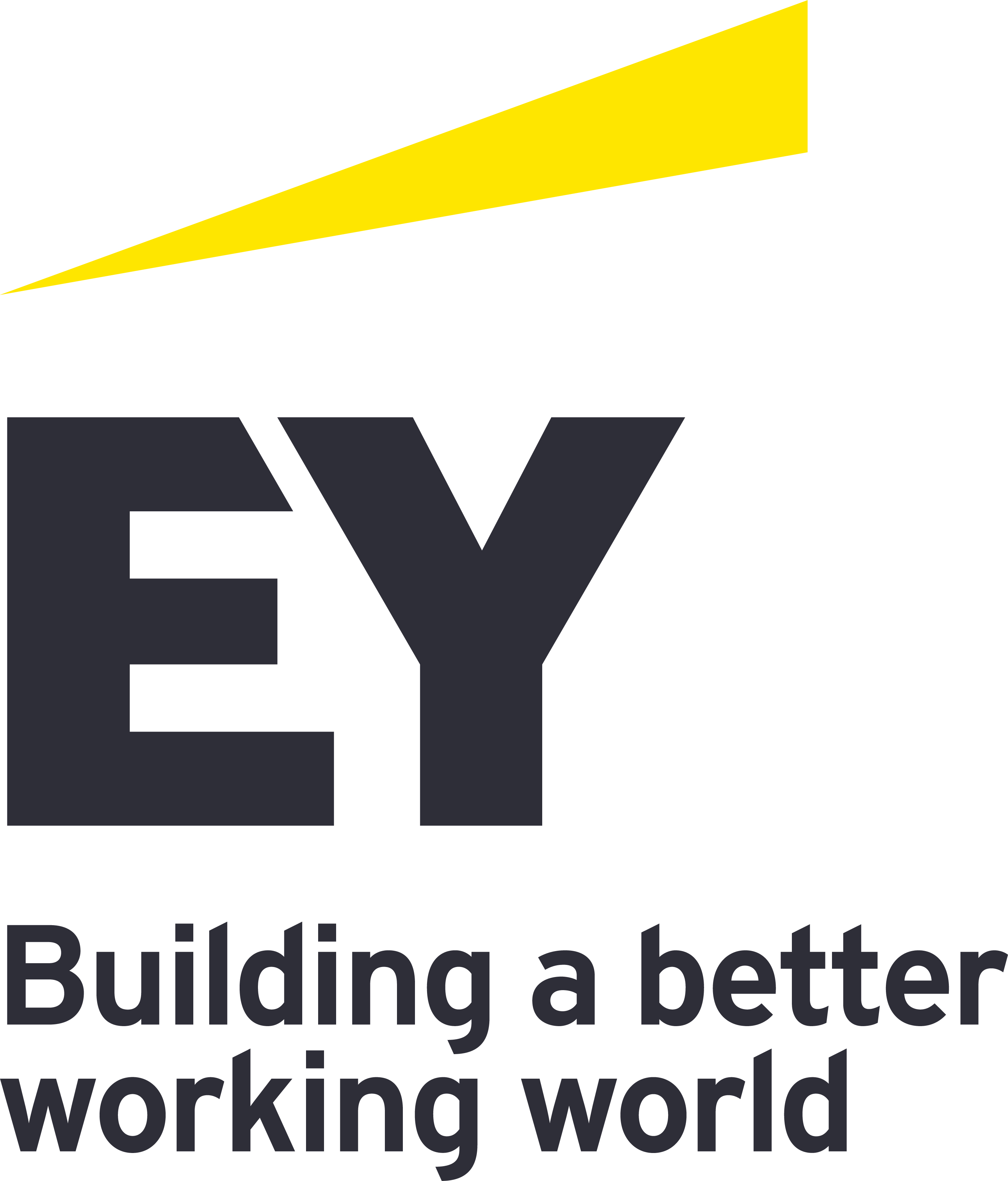 Ernst & Young assessment van LTP oefenen: voorbeelden