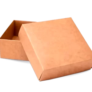 Wholesale Kraft Boxes