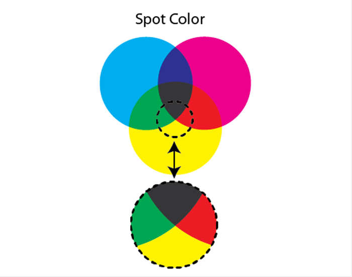 What is Spot Color Screen Printing?