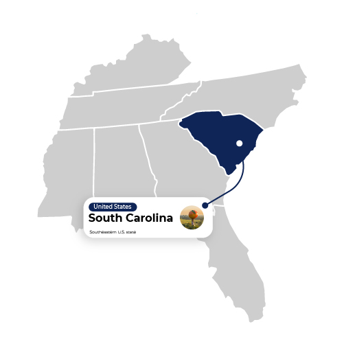 Map Illustration of South Carolina