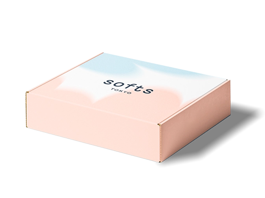 Mailer Printed Box