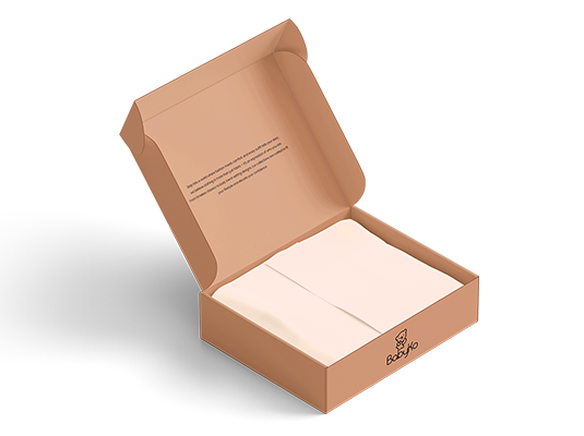 Mailer Printed Box