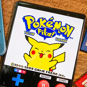 Pokemon Emulator