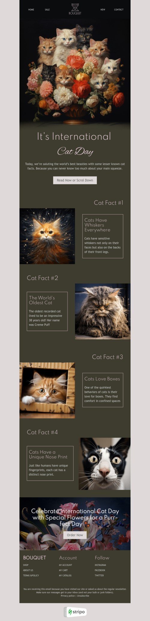 International Cat Day email template "Cat fact" for gifts & flowers industry