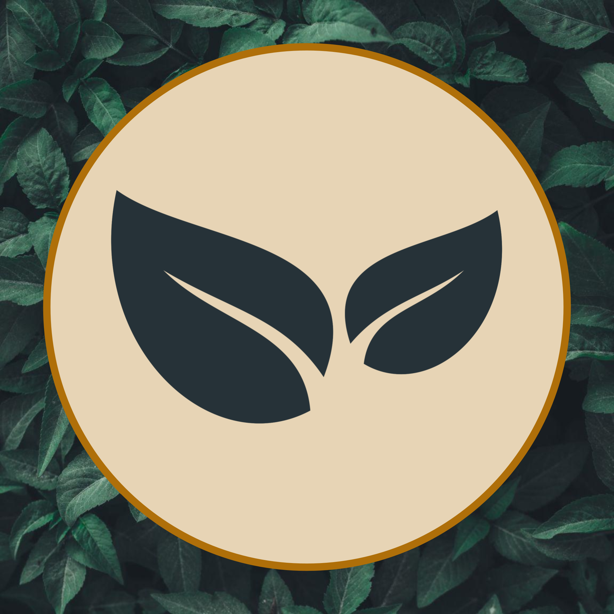 Growth Support
