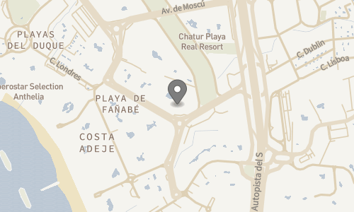 Lokation for Best Jacaranda