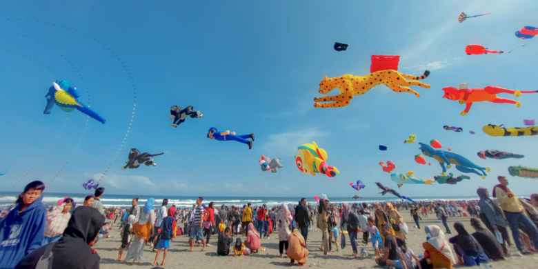 Elevate Your Celebrations: Fly360's Guide to Hosting a Spectacular Kite Festival