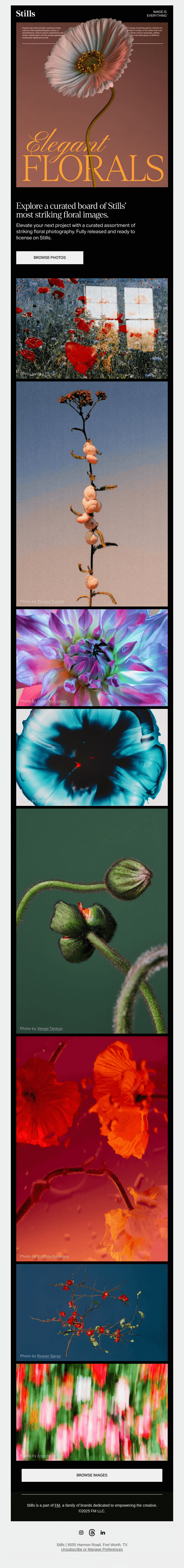 Elegant And Striking Floral Imagery