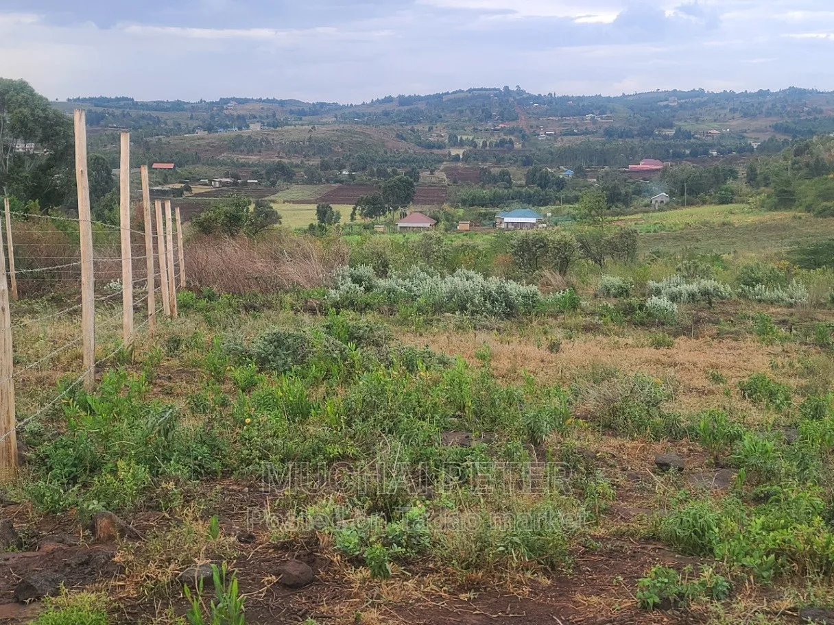 Kamangù, Ndigù-inì - Prime Plot 5