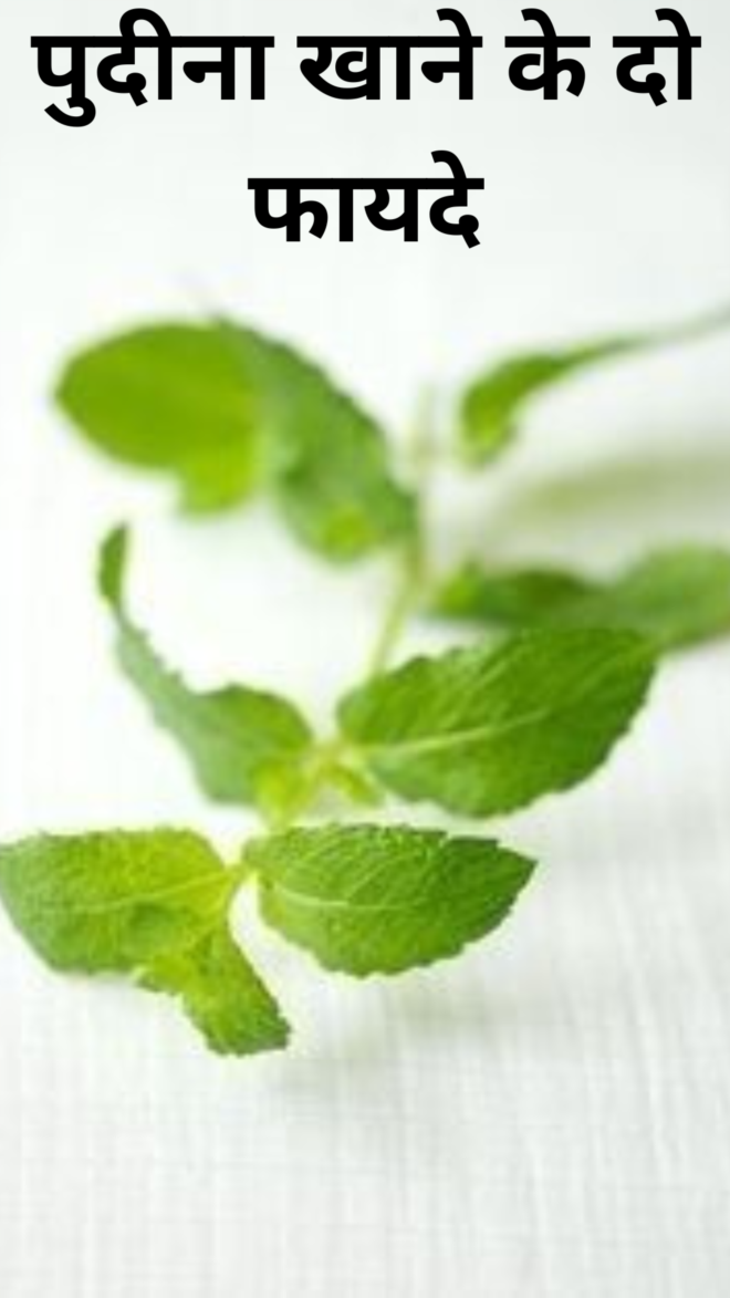 Two benefits of eating mint