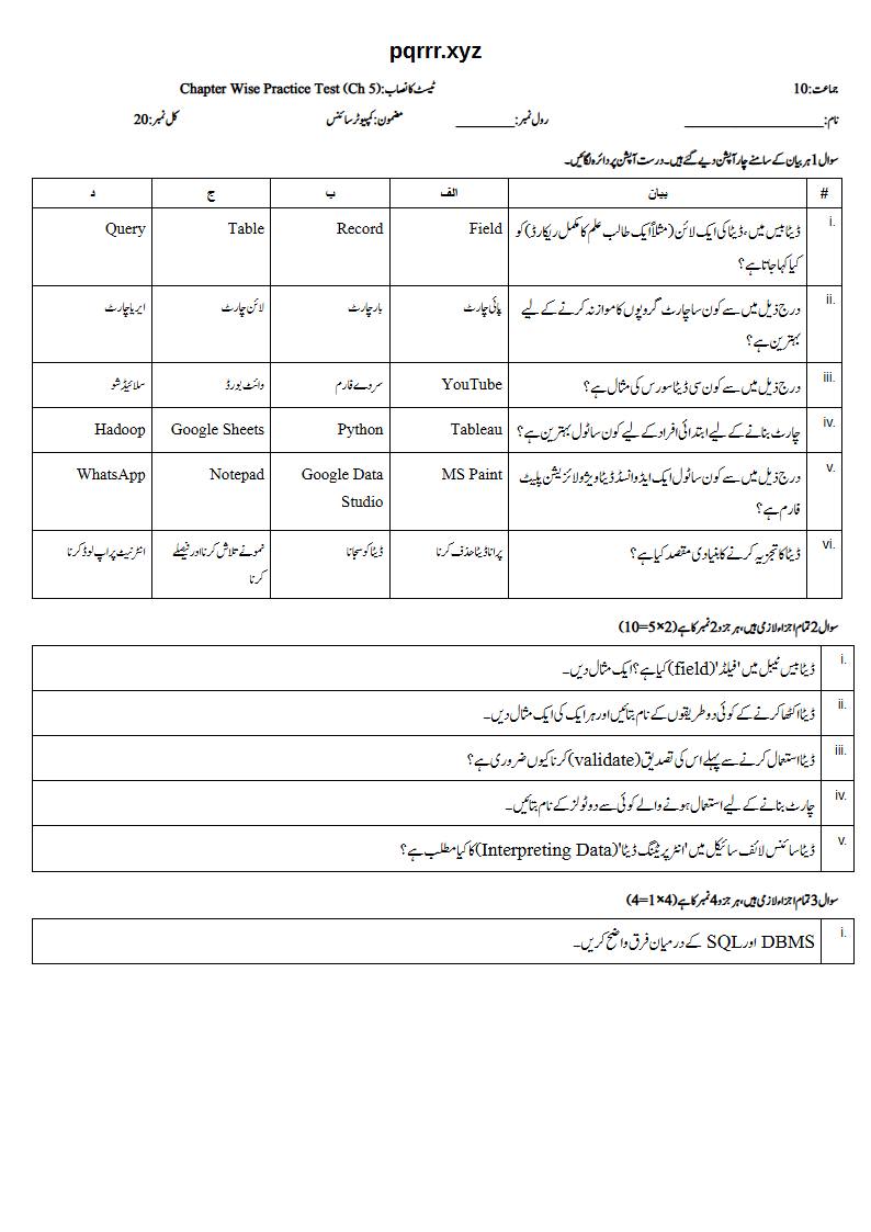 First page of 10th Computer Science – Chapter 5 – Introduction to Data Science – Chapter Wise Practice Test, 20 marks (Urdu)