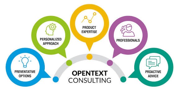 CONSULTANCY SERVICES 2