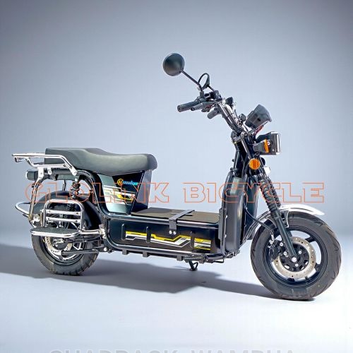 Electric Scooter Bike 2