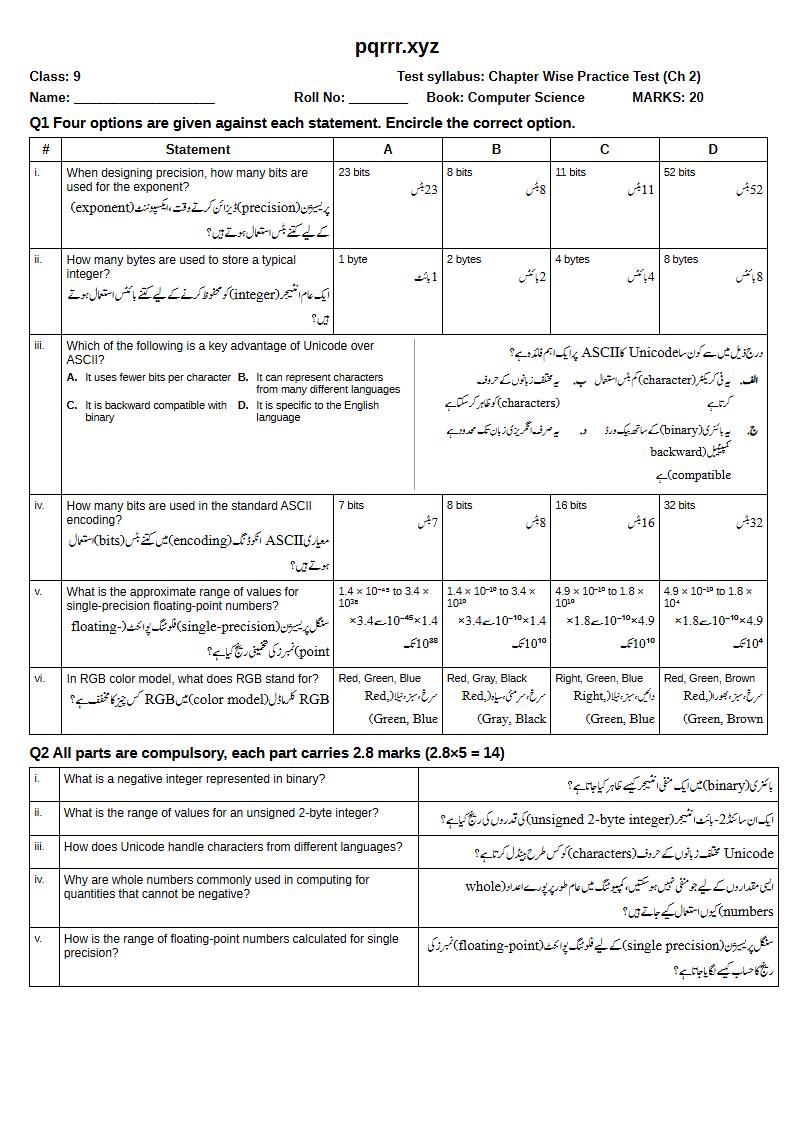 First page of 9th Computer Science – Chapter 2 – Data Representation – Chapter Wise Practice Test, 20 marks (English + Urdu)
