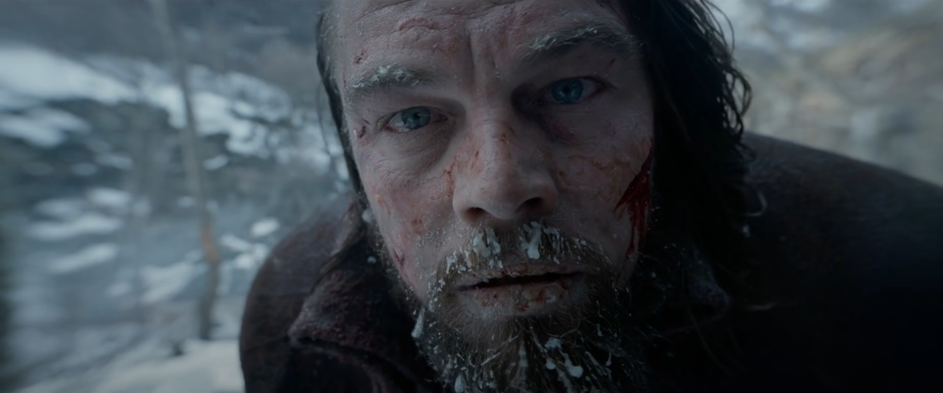 Il primissimo piano: Frame del film The Revenant