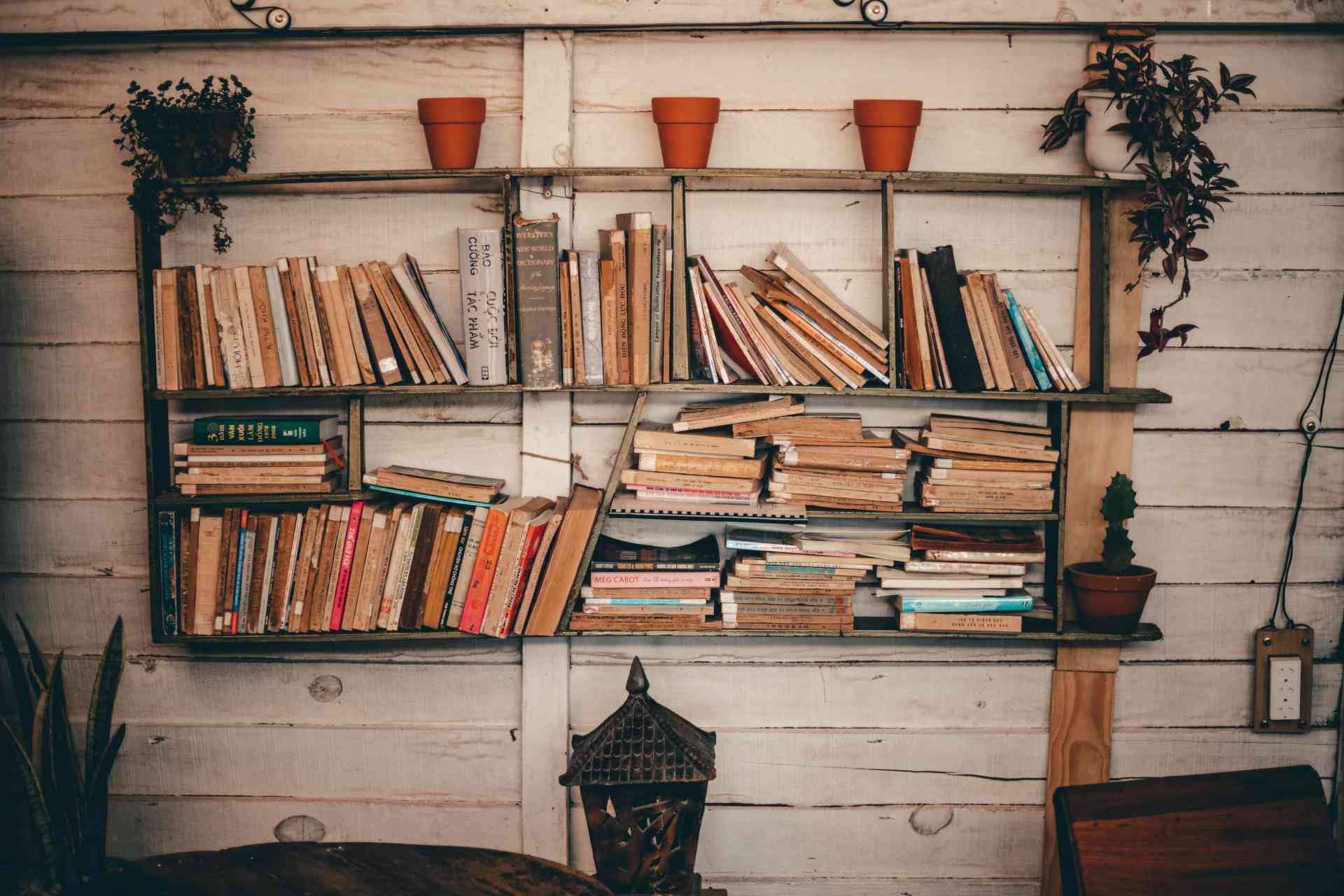 I migliori libri sul cinema - Foto di una libreria