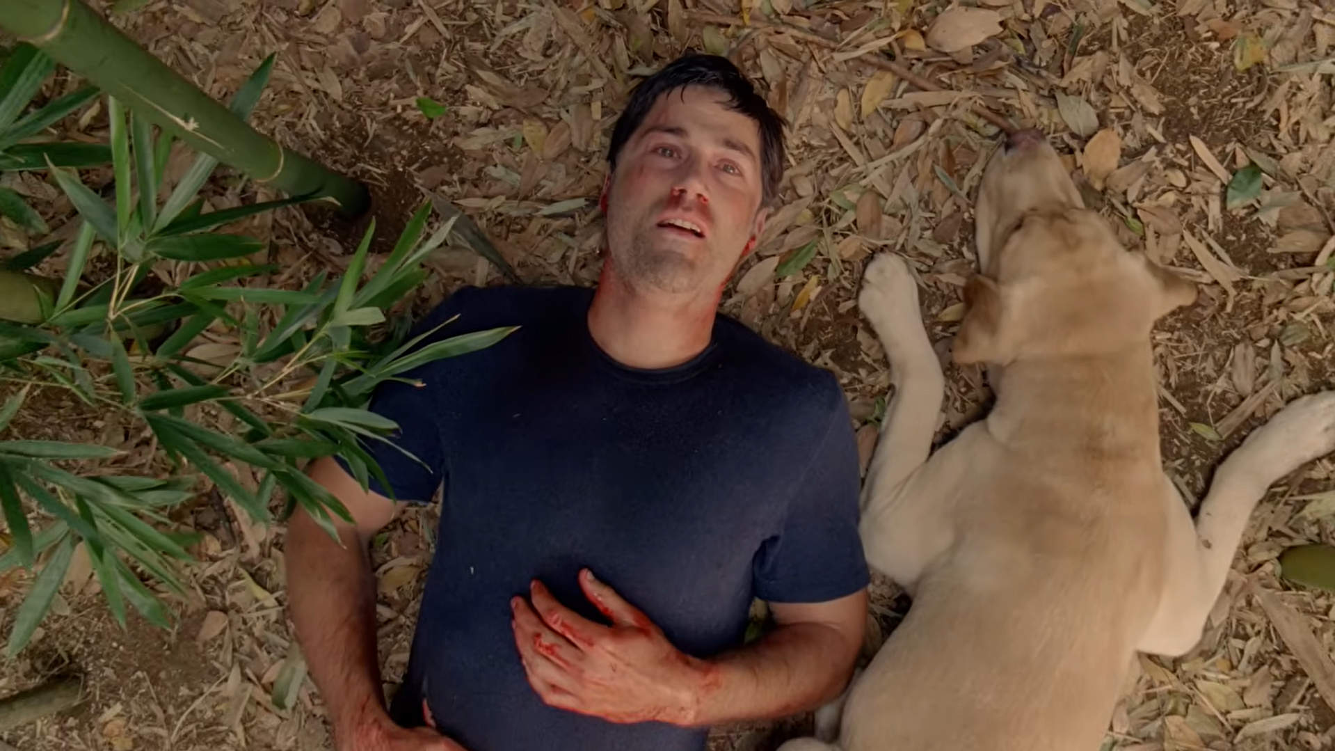 Cos'è la sinossi - Frame della serie tv Lost