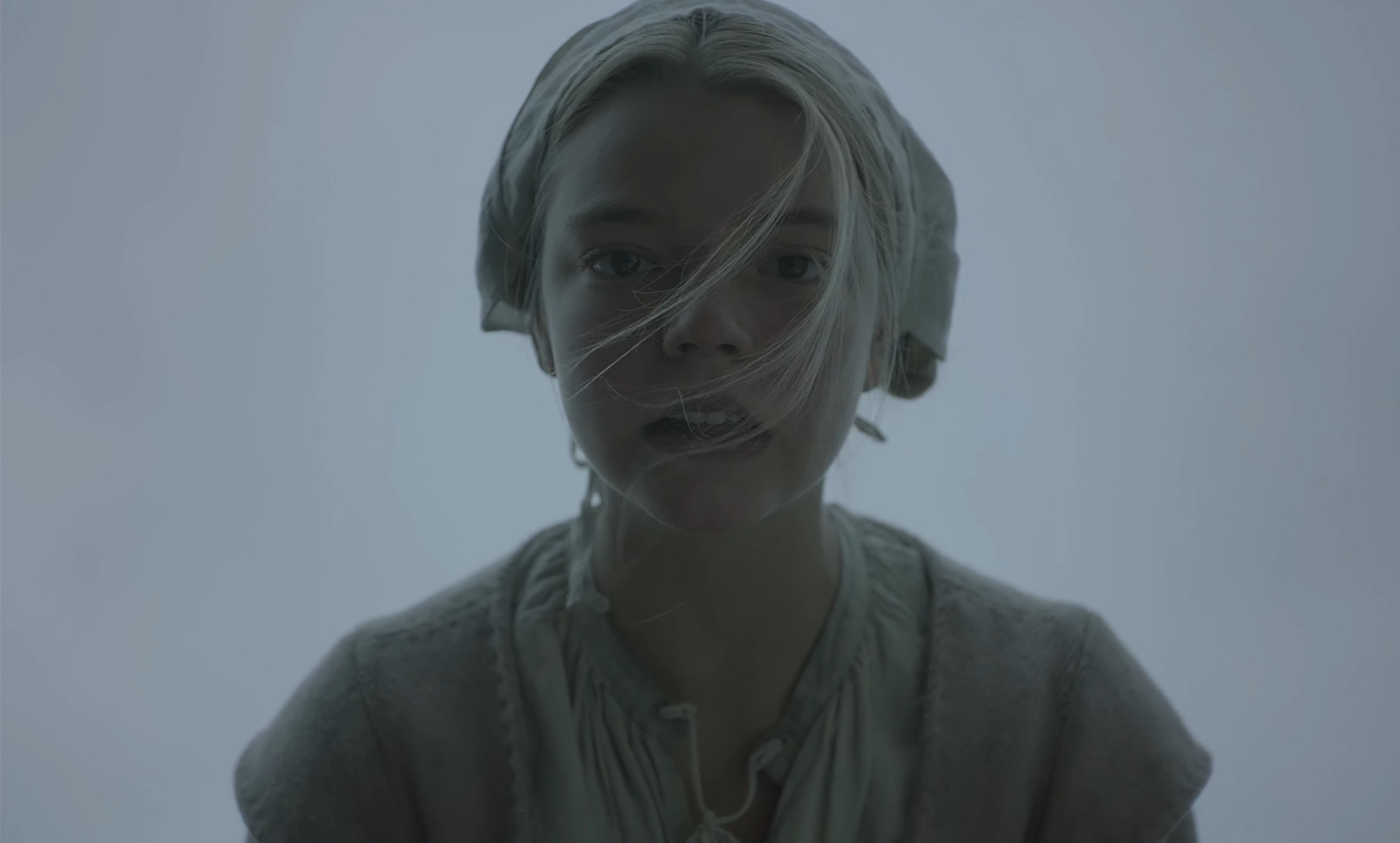 The Witch - Frame del film