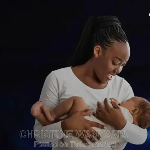 Nannies and Domestic services