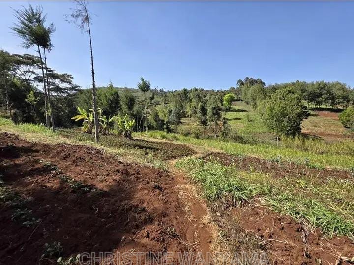 Mixed farm land for sale 2
