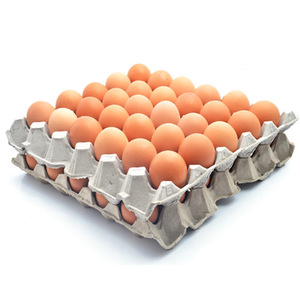 eggs crate
