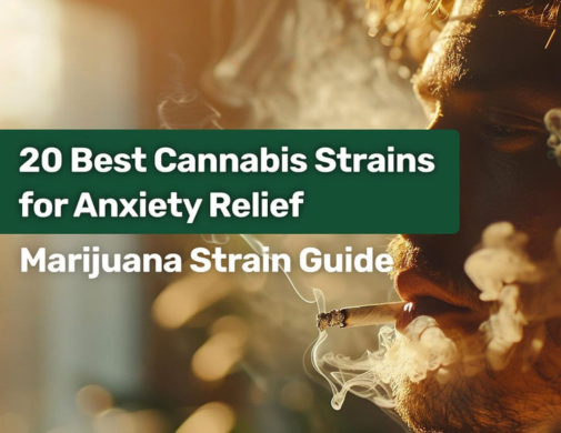 20 Best Cannabis Strains for Anxiety Relief: A Comprehensive Guide