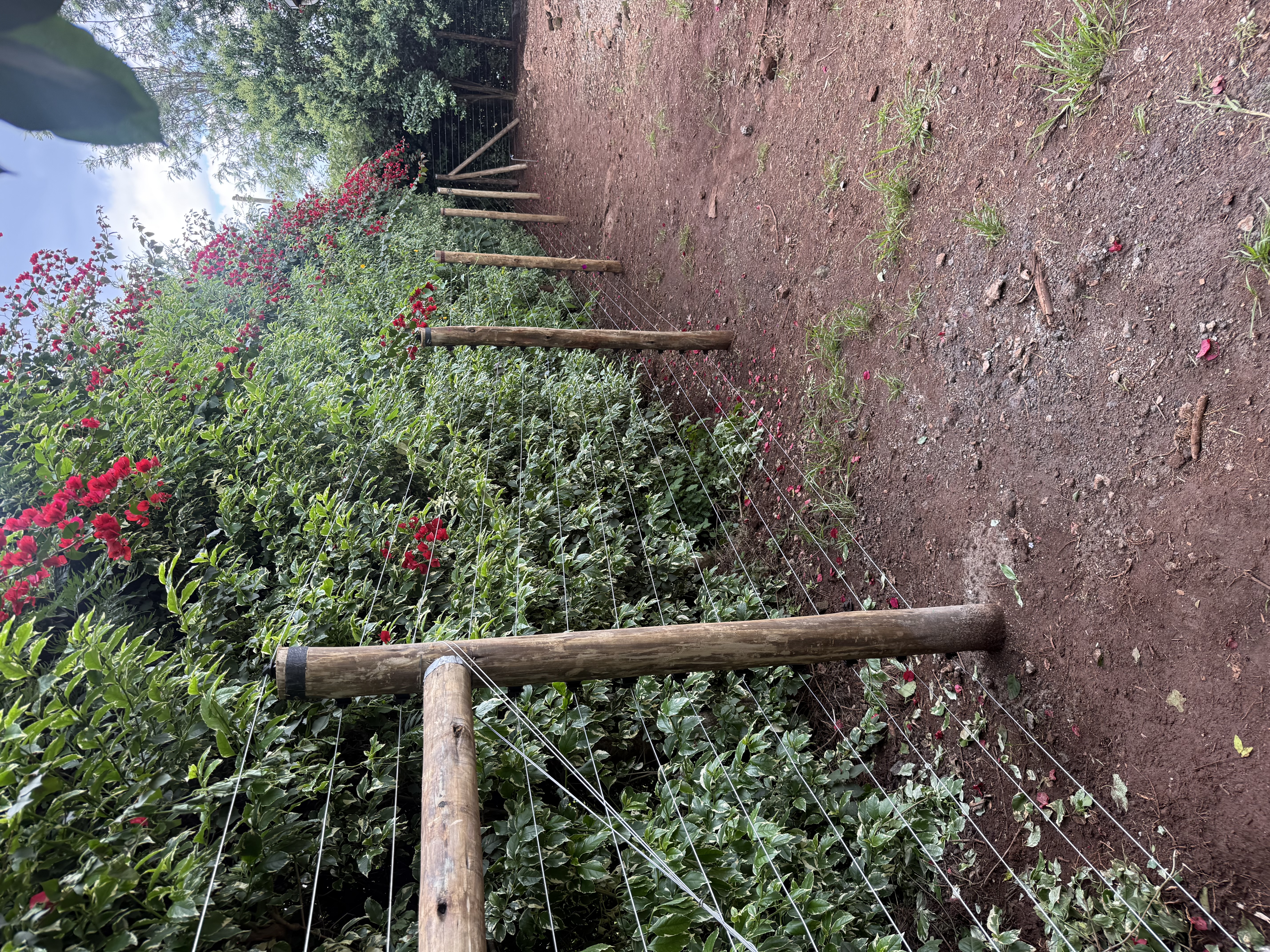 Free standing HighVoltage electric Fence -Kajiado ๐ - photo 2