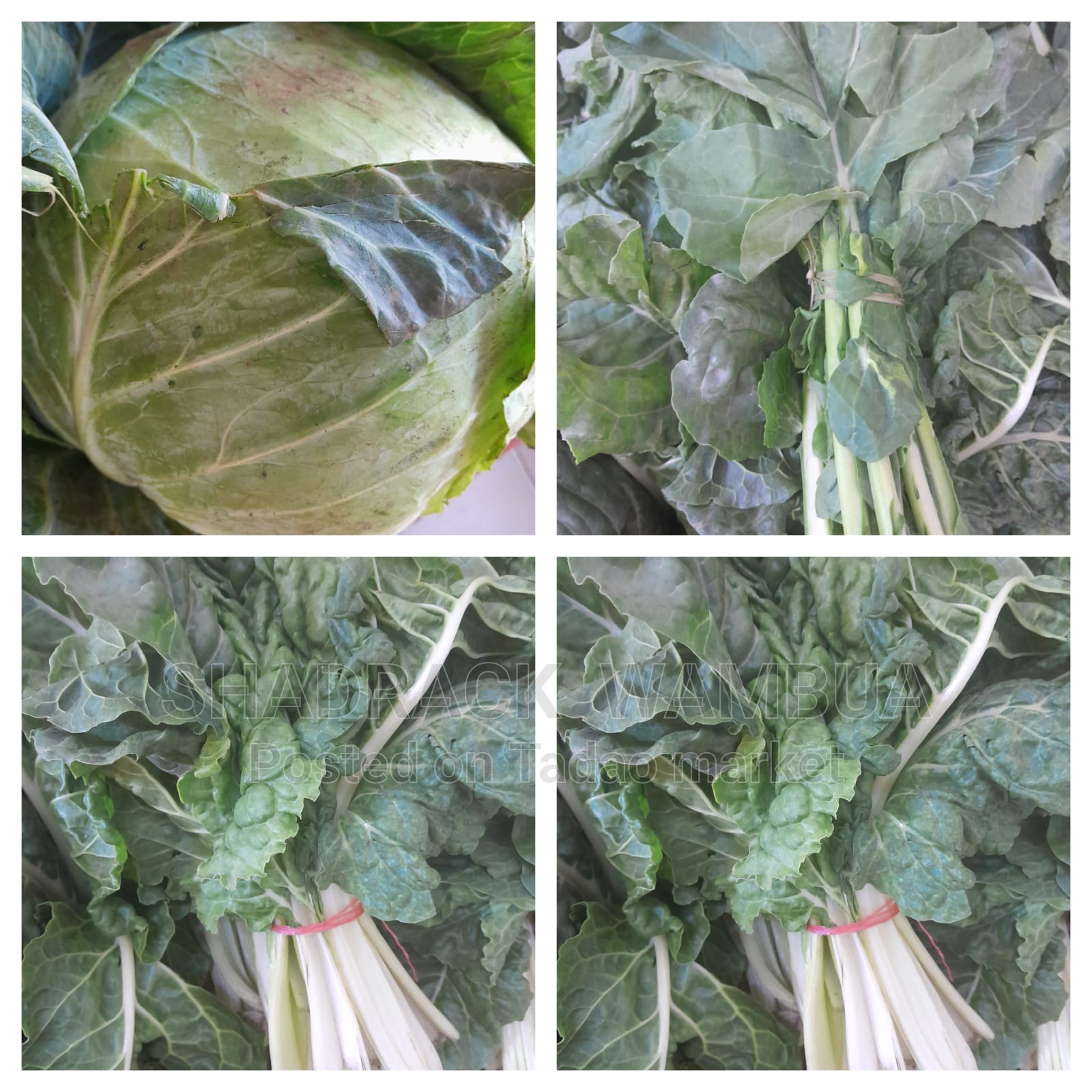 Fresh farm groceries 2