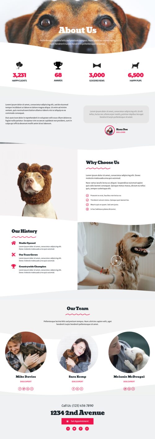 Dog Grooming About Us 1