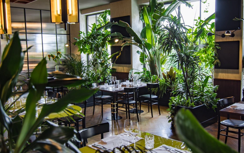 Campamac Osteria 