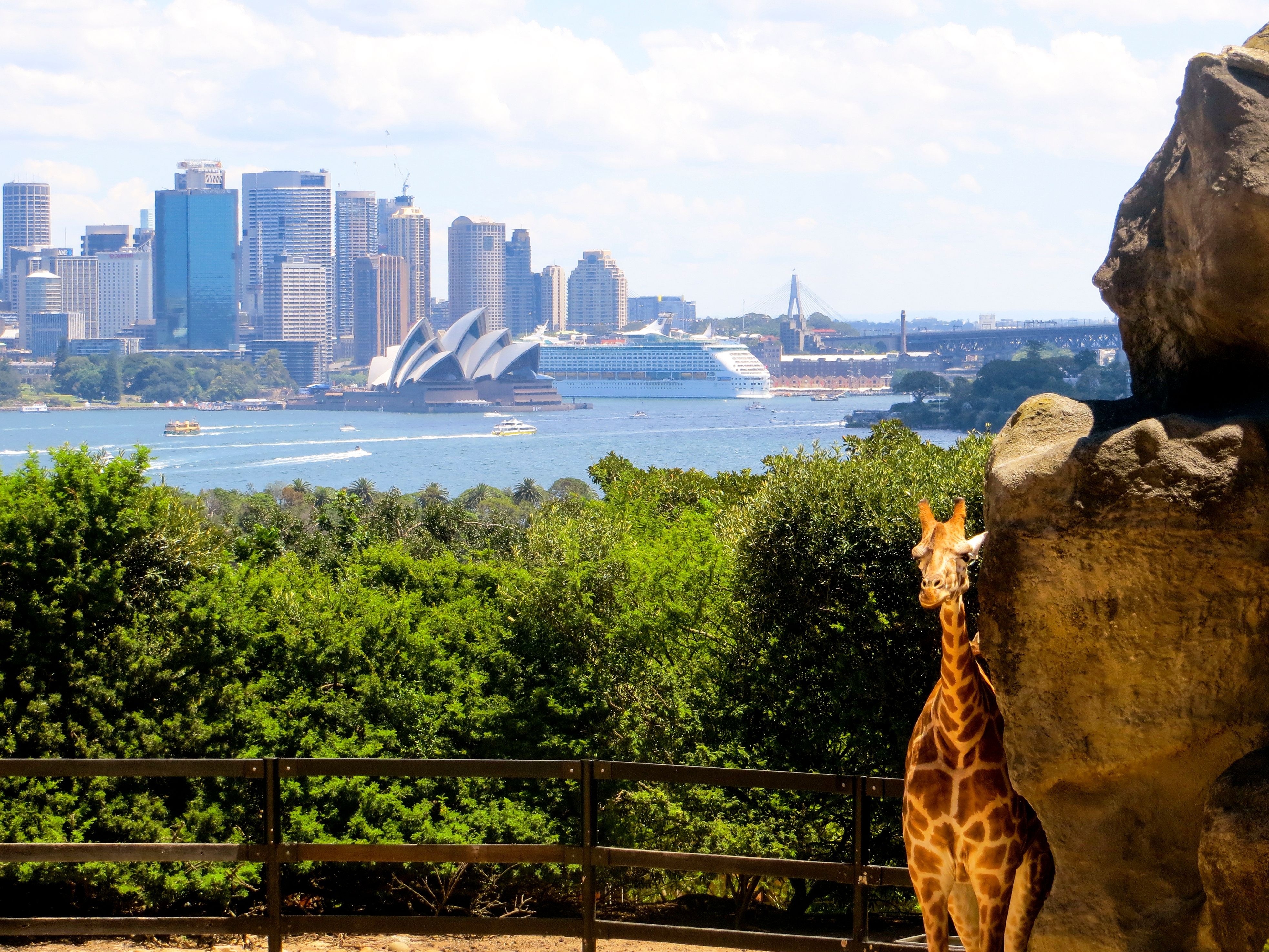 Taronga Zoo - Private Wild Australia Experience