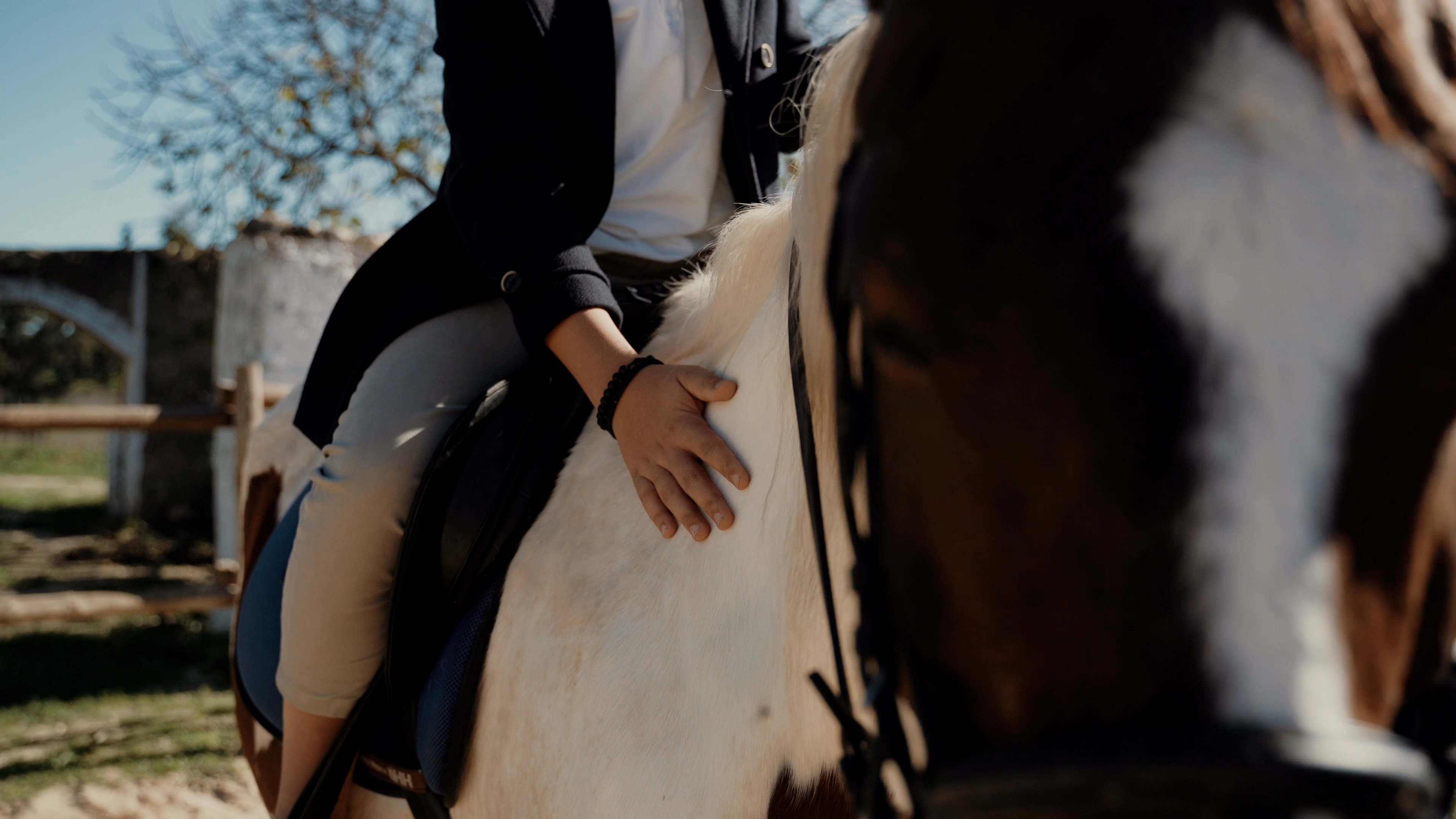 Horseback riding through Serra da Arrábida