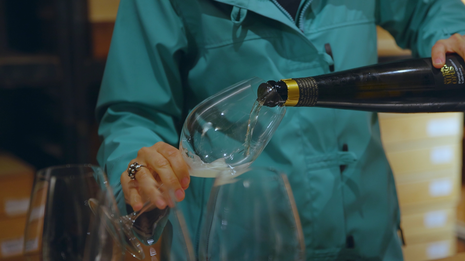 Private Tour in 4x4 & Wine Tasting at an Organic Winery