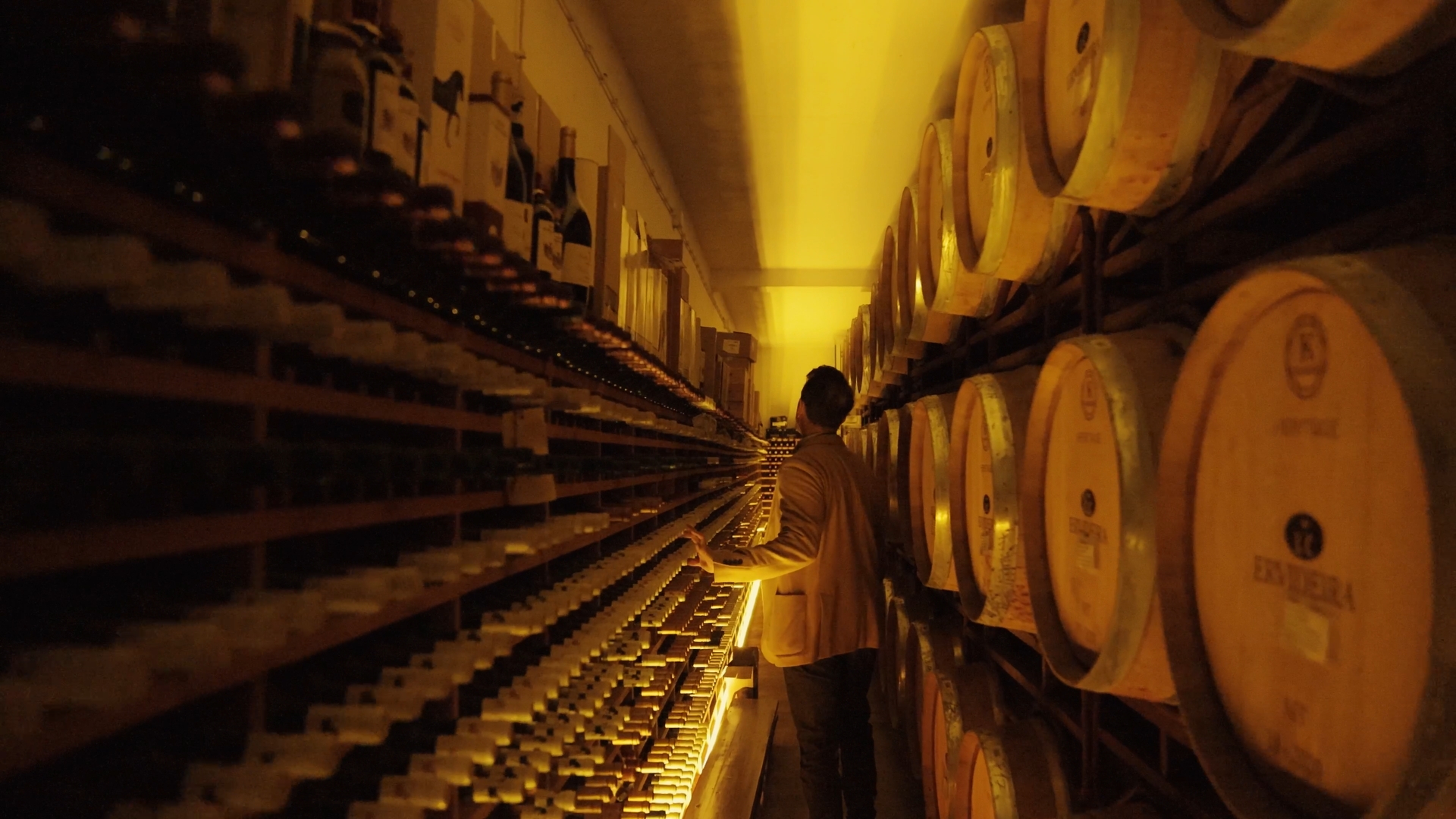Wine Tourism Ervideira