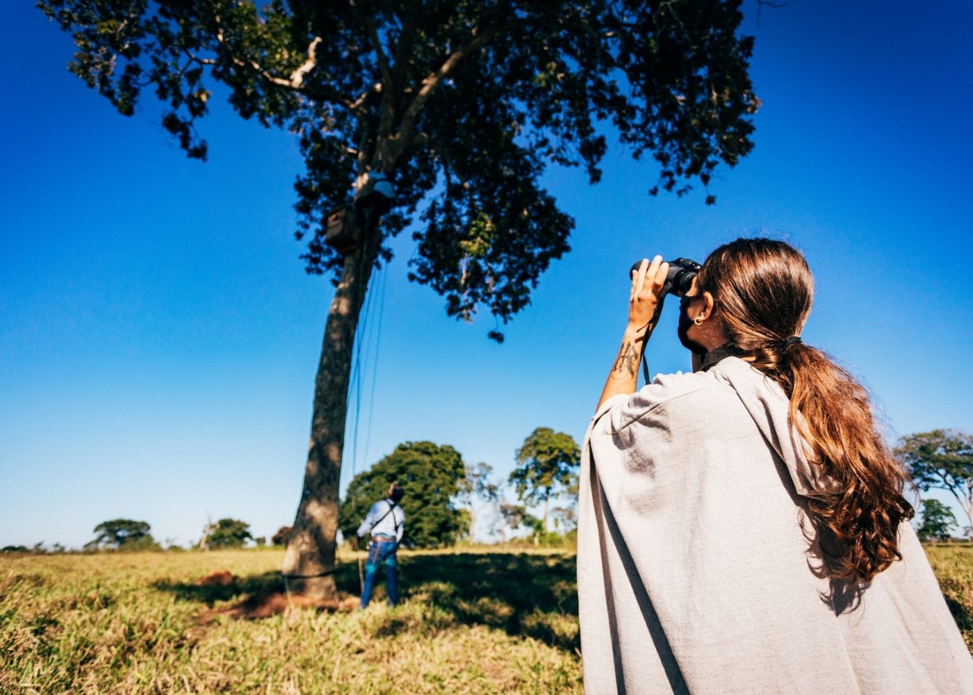 Birdwatching Route: Colors and Songs of the Pantanal
