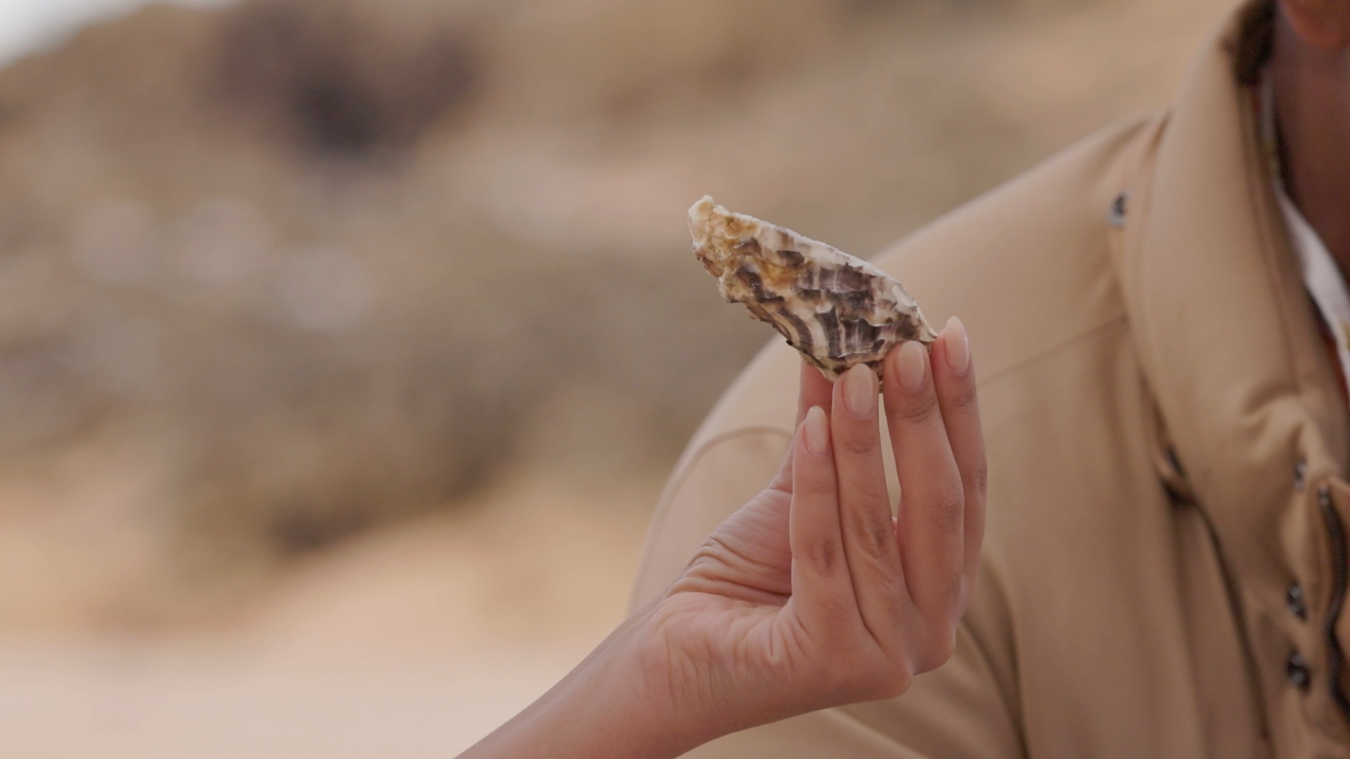  From farm to table: Oysters from Oualidia