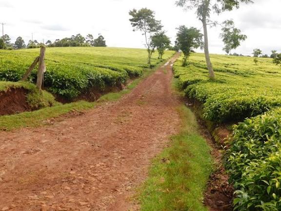 Land for sale (Team Farm) 2