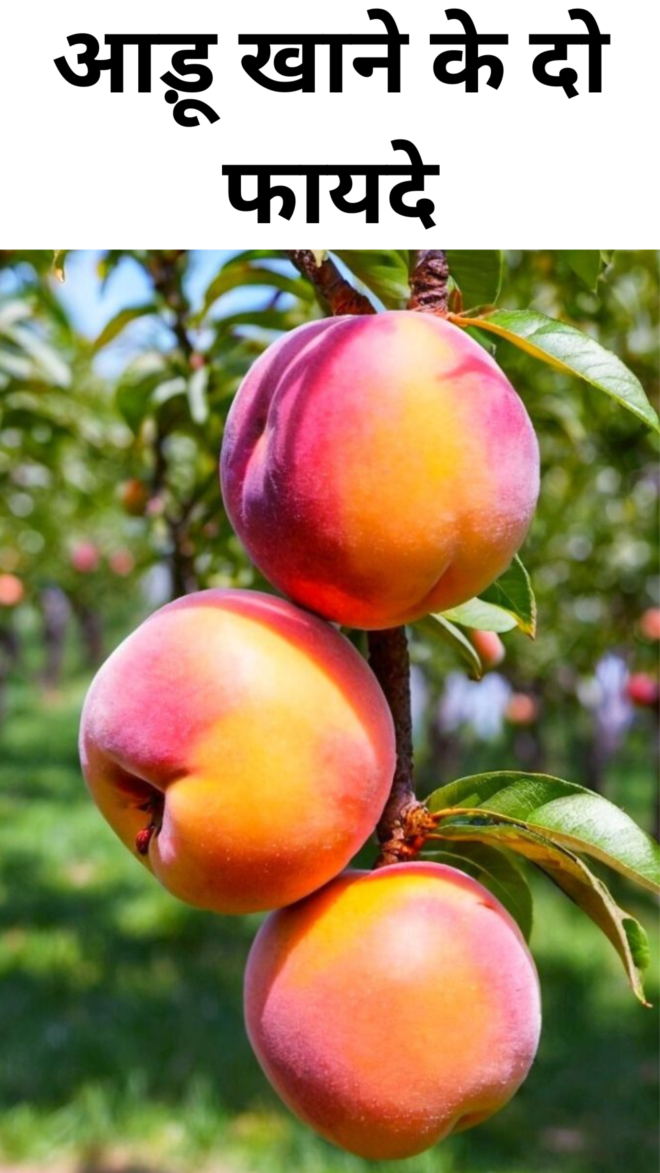 Two benefits of eating peaches