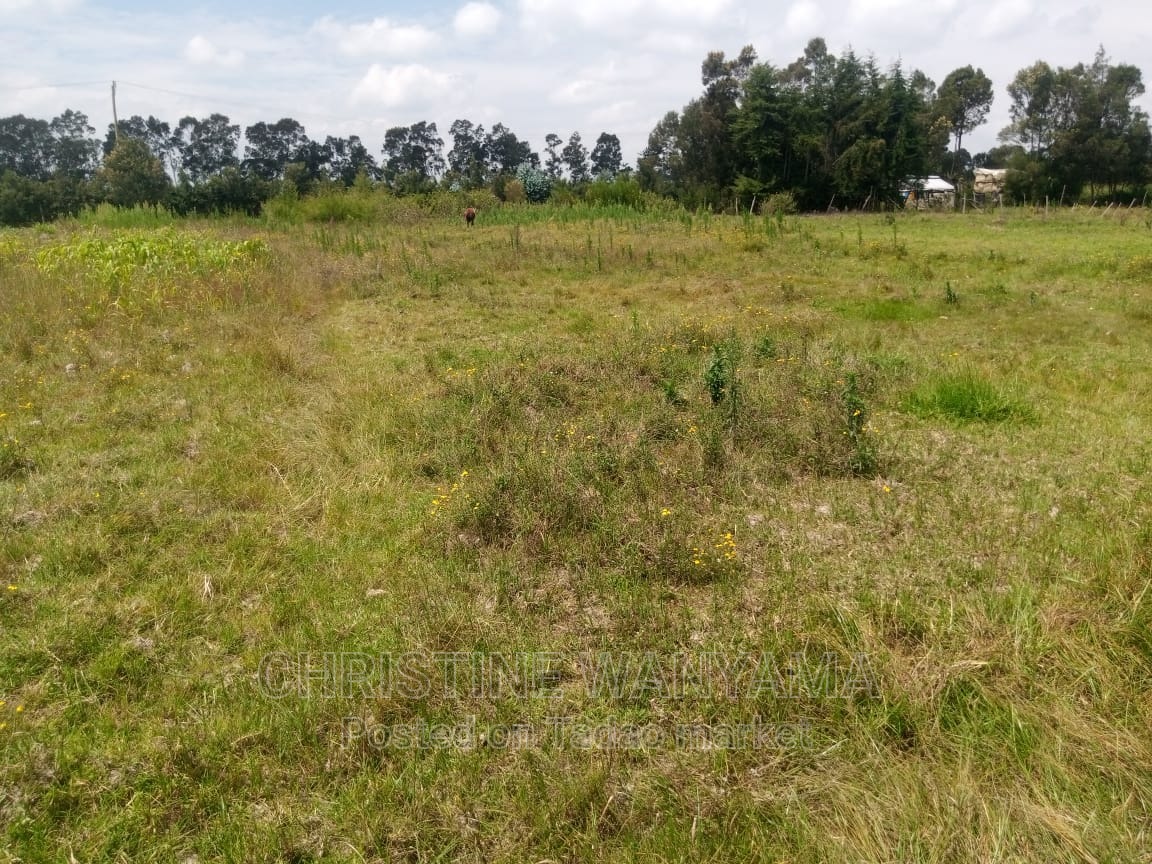 Land for sale 3