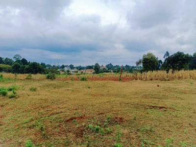 Land for sale 2