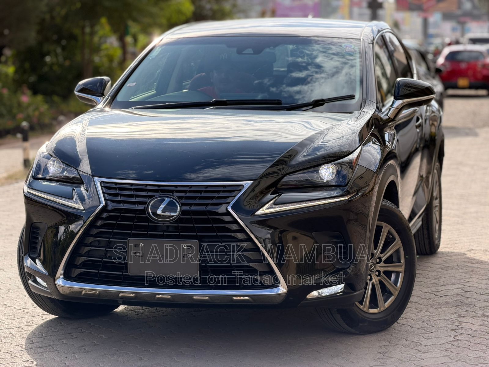 Lexus NX 300 2