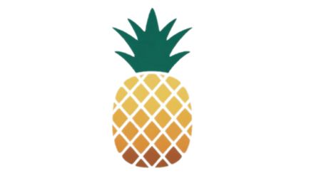 Pineapple Kamil Daniel logo