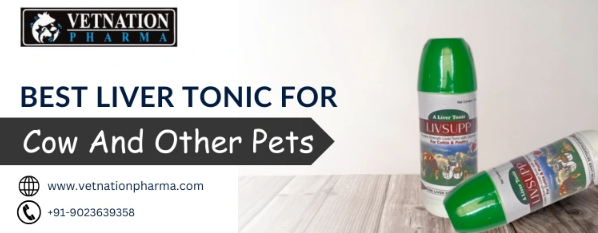 Best Liver Tonic for Cow and Pets