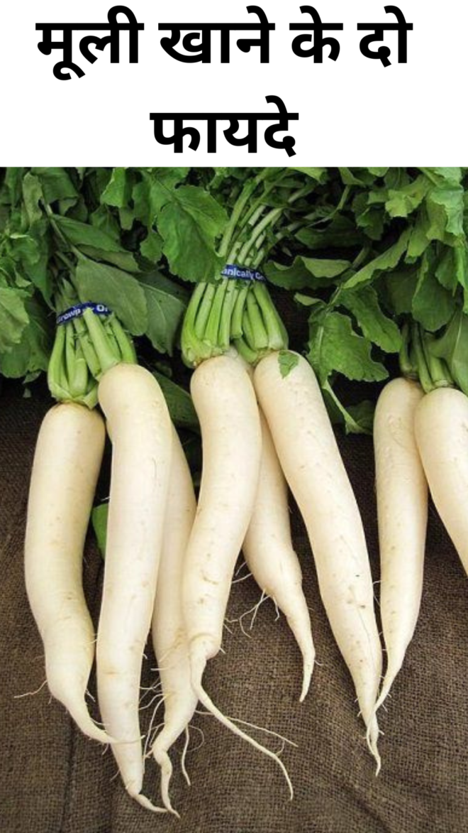 Two benefits of eating radish