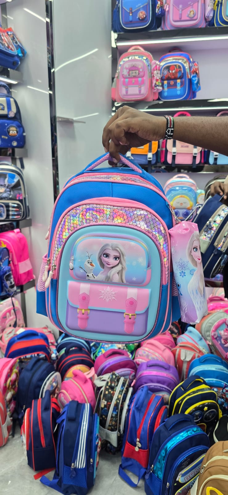 School bags single