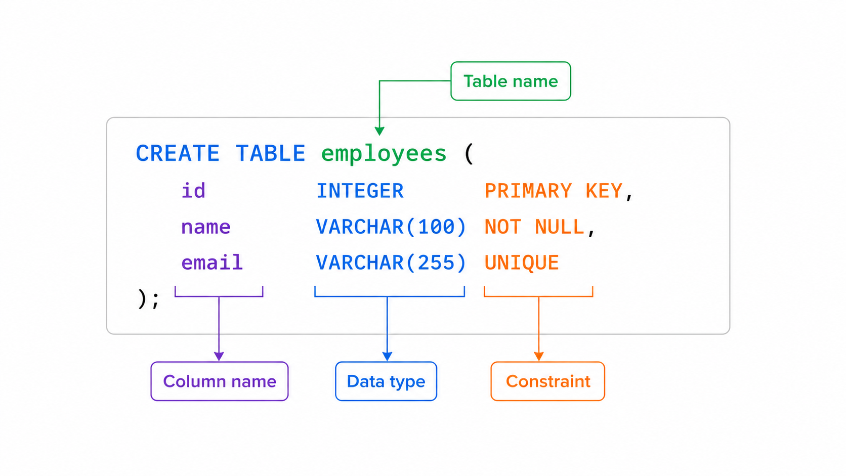 CREATE TABLE anatomy