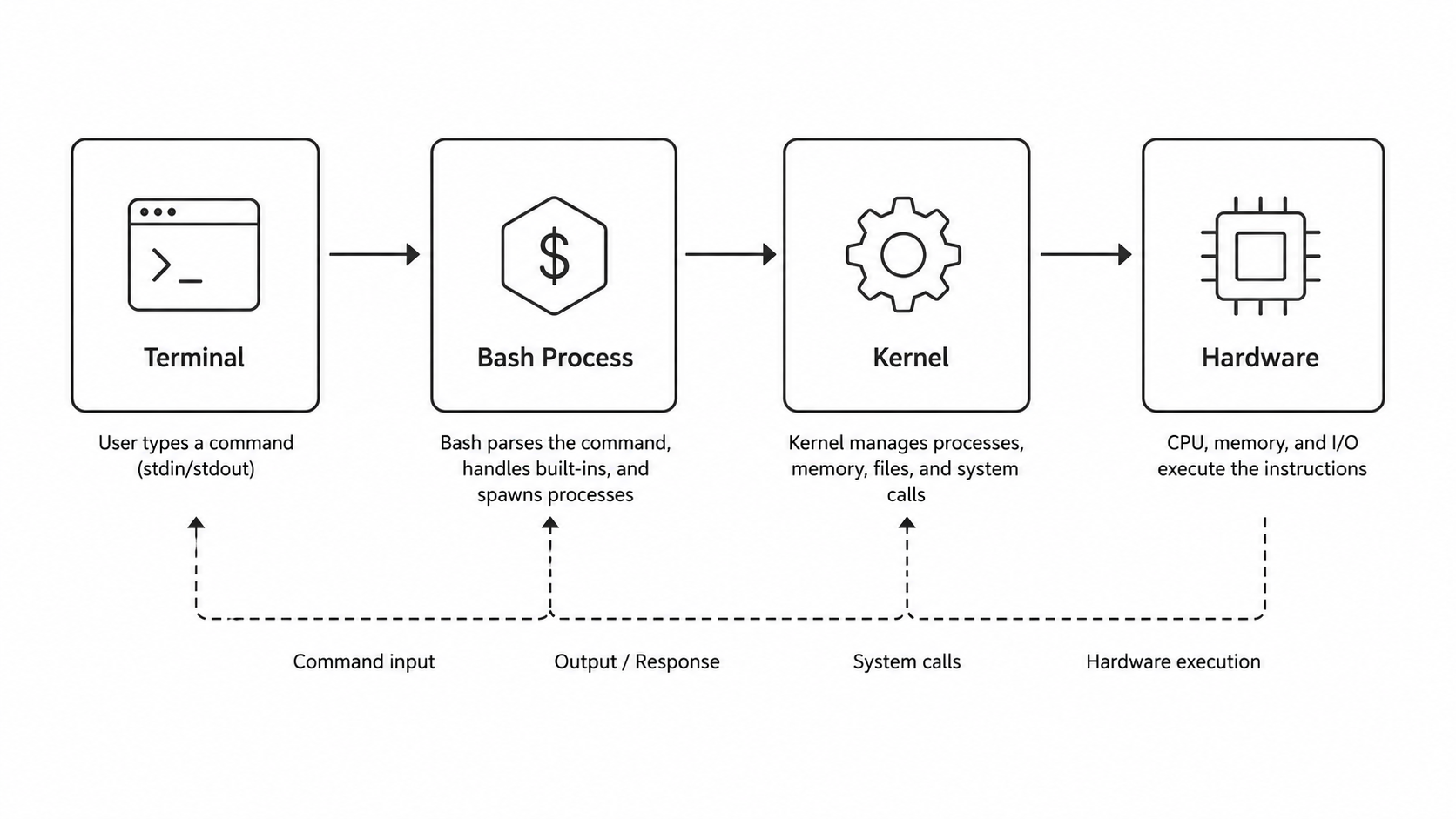 Bash execution model