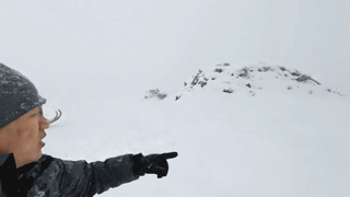 Mammoths in Antarctica