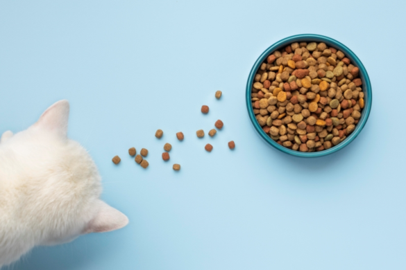 Why Cats Need Ziwi Peak Cat Food to Grow Healthy