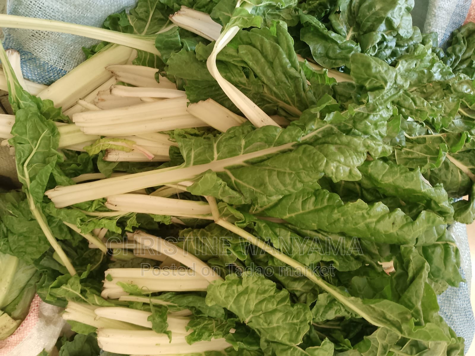 Fresh spinach for sale 3